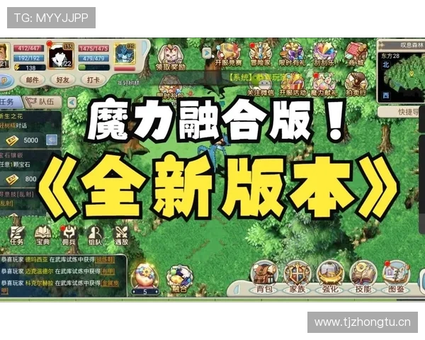 了解14秒重置规则：进攻回合何时重新计时最准确？